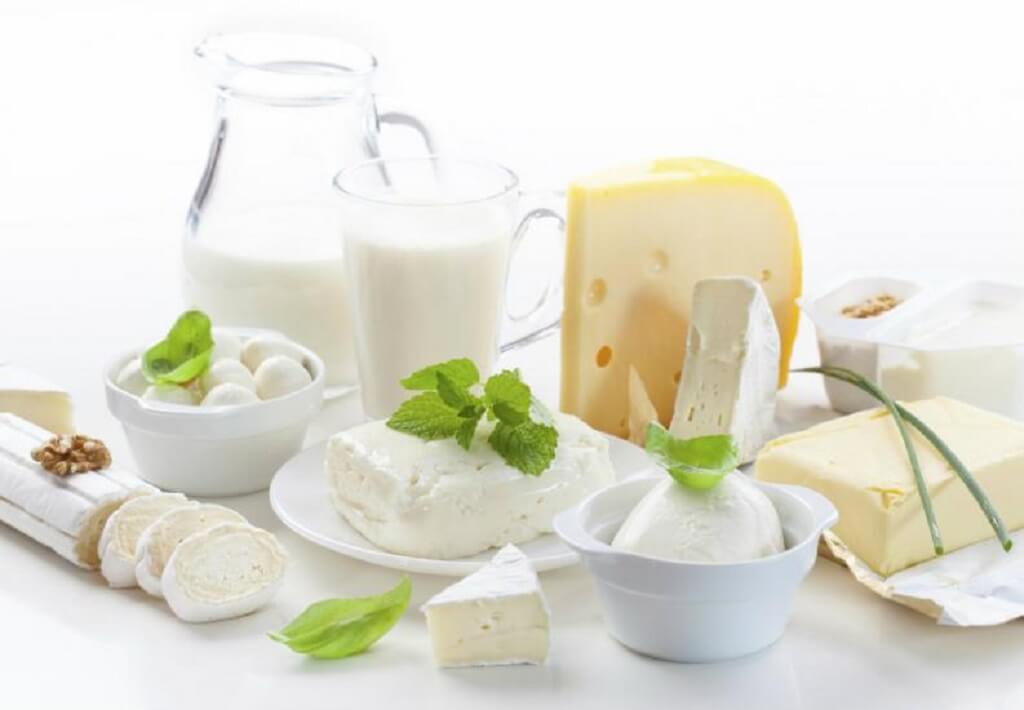 Pasteurización de leche y quesos